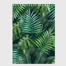 Скетчбук с принтом Тропики в Санкт-Петербурге, 100% бумага
 | 48 листов, плотность листов — 100 г/м2, плотность картонной обложки — 250 г/м2. Листы скреплены сверху удобной пружинной спиралью | summer | банановая | банановые | джунгли | зелень | краски | летняя | лето | листики | листы | листья | надпись | настроение | отдых | отпуск | пальма | пальмовые | пальмы | папоротник | пляжная | позитив