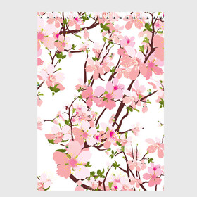 Скетчбук с принтом Сакура Sakura в Санкт-Петербурге, 100% бумага
 | 48 листов, плотность листов — 100 г/м2, плотность картонной обложки — 250 г/м2. Листы скреплены сверху удобной пружинной спиралью | flower | flowers | pink | rose | sakura | девочке | девушке | красивая | парню | подарок | прикольная | приятная | роза | розовая | сакура | текстура | цветок | цветочки | цветы