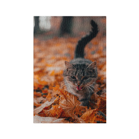 Обложка для паспорта матовая кожа с принтом мяукающий кот осенние листья в Санкт-Петербурге, натуральная матовая кожа | размер 19,3 х 13,7 см; прозрачные пластиковые крепления | золотая осень | кот | кошка | крик | листва | листья | мяу | мяукает | осень | сезон | уличный котейка