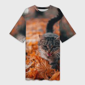 Платье-футболка 3D с принтом мяукающий кот осенние листья в Санкт-Петербурге,  |  | золотая осень | кот | кошка | крик | листва | листья | мяу | мяукает | осень | сезон | уличный котейка