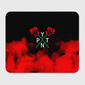 Коврик для мышки прямоугольный с принтом PYTN X ROSE. в Санкт-Петербурге, натуральный каучук | размер 230 х 185 мм; запечатка лицевой стороны | Тематика изображения на принте: payton | payton moormeie | pytn | rose | блогер | знаменитость | пейтон | пейтон моормиер | тиктоенр