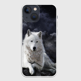 Чехол для iPhone 13 mini с принтом БЕЛЫЙ ВОЛК(D) в Санкт-Петербурге,  |  | wolf | волк | волки | волчица | животные | одинокий волк
