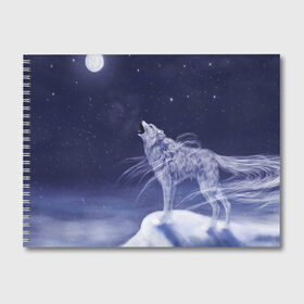 Альбом для рисования с принтом WOLF WHITE(D) в Санкт-Петербурге, 100% бумага
 | матовая бумага, плотность 200 мг. | Тематика изображения на принте: wolf | волк | волки | волчица | животные | одинокий волк