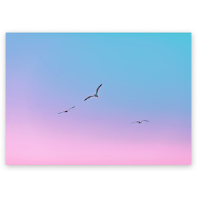 Поздравительная открытка с принтом чайки птицы полет градиент в Санкт-Петербурге, 100% бумага | плотность бумаги 280 г/м2, матовая, на обратной стороне линовка и место для марки
 | градиент | закат | минимализм | небо | полет | природа | просто | птицы | рассвет | чайки