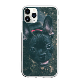 Чехол для iPhone 11 Pro Max матовый с принтом Бульдог морда собакена черного в Санкт-Петербурге, Силикон |  | Тематика изображения на принте: бульдог | гав | глаза | любимец | любителю животных | ошейник | пес | песель | песик | питомец | псина | псинка | собака | собакен | собачка | собачник | уши | черный | язык