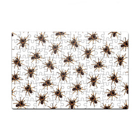 Пазл магнитный 126 элементов с принтом В пауках в Санкт-Петербурге, полимерный материал с магнитным слоем | 126 деталей, размер изделия —  180*270 мм | pattern | spider | джунгли | дикие | животные | жуки | звери | лапы | мерзкие | монстр | насекомые | паттерн | паук | пауки | паутина | паучок | птицеед | страшный | существа | тараканы | тарантул | тропики
