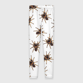 Леггинсы 3D с принтом В пауках в Санкт-Петербурге, 80% полиэстер, 20% эластан | Эластичный пояс, зауженные к низу, низкая посадка | pattern | spider | джунгли | дикие | животные | жуки | звери | лапы | мерзкие | монстр | насекомые | паттерн | паук | пауки | паутина | паучок | птицеед | страшный | существа | тараканы | тарантул | тропики