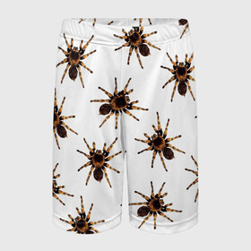 Детские спортивные шорты 3D с принтом В пауках в Санкт-Петербурге,  100% полиэстер
 | пояс оформлен широкой мягкой резинкой, ткань тянется
 | pattern | spider | джунгли | дикие | животные | жуки | звери | лапы | мерзкие | монстр | насекомые | паттерн | паук | пауки | паутина | паучок | птицеед | страшный | существа | тараканы | тарантул | тропики