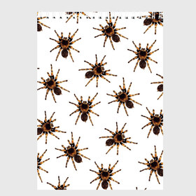 Скетчбук с принтом В пауках в Санкт-Петербурге, 100% бумага
 | 48 листов, плотность листов — 100 г/м2, плотность картонной обложки — 250 г/м2. Листы скреплены сверху удобной пружинной спиралью | pattern | spider | джунгли | дикие | животные | жуки | звери | лапы | мерзкие | монстр | насекомые | паттерн | паук | пауки | паутина | паучок | птицеед | страшный | существа | тараканы | тарантул | тропики