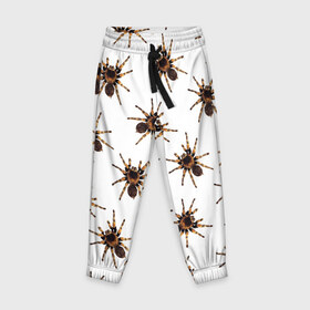 Детские брюки 3D с принтом В пауках в Санкт-Петербурге, 100% полиэстер | манжеты по низу, эластичный пояс регулируется шнурком, по бокам два кармана без застежек, внутренняя часть кармана из мелкой сетки | pattern | spider | джунгли | дикие | животные | жуки | звери | лапы | мерзкие | монстр | насекомые | паттерн | паук | пауки | паутина | паучок | птицеед | страшный | существа | тараканы | тарантул | тропики