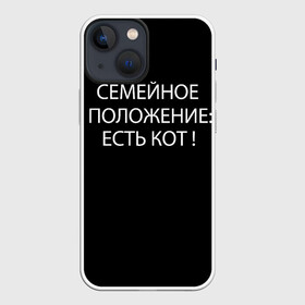 Чехол для iPhone 13 mini с принтом Есть кот в Санкт-Петербурге,  |  | да | есть кот | замуж | кот | котейка | котик | котэ | мем | мяу | настроение | не хочу | нет | пора жениться | прикол | свадьба | сватовство | семейное положение | хочу