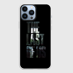 Чехол для iPhone 13 Pro Max с принтом The Last of Us 2 в Санкт-Петербурге,  |  | Тематика изображения на принте: action | the last of us | the last of us 2 | бродилка | игра | хоррор