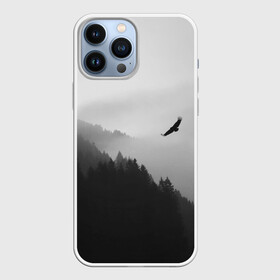 Чехол для iPhone 13 Pro Max с принтом ОРЁЛ НАД ЛЕСОМ в Санкт-Петербурге,  |  | bird | dark | fog | forest | heaven | jh k | ktc | sky | texture | деревья | животные | лес | небо | орел | природа | птица | птицы | текстуры | тёмный лес | туман