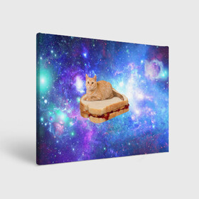 Холст прямоугольный с принтом Кот в космосе в Санкт-Петербурге, 100% ПВХ |  | cat | cats | space | бутерброд | грозовой кошак | джем | киса | киска | космос | кошак | кошка