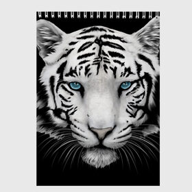 Скетчбук с принтом тигр в Санкт-Петербурге, 100% бумага
 | 48 листов, плотность листов — 100 г/м2, плотность картонной обложки — 250 г/м2. Листы скреплены сверху удобной пружинной спиралью | белый тигр | тигр
