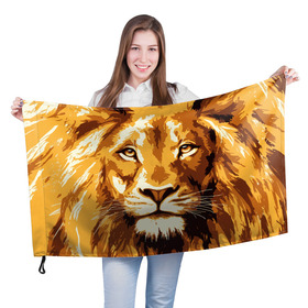 Флаг 3D с принтом Взгляд льва в Санкт-Петербурге, 100% полиэстер | плотность ткани — 95 г/м2, размер — 67 х 109 см. Принт наносится с одной стороны | арт | грива | деко | жедтая | животные | закат | зверей | золото | кошка | лев | лето | львенок | неоновая | очки | пляж | прайд | разноцветная | солнце | тигр | узоры | царь | яркие