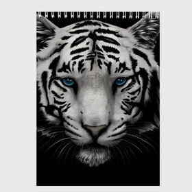Скетчбук с принтом Белый Тигр в Санкт-Петербурге, 100% бумага
 | 48 листов, плотность листов — 100 г/м2, плотность картонной обложки — 250 г/м2. Листы скреплены сверху удобной пружинной спиралью | tiger | животное | тигр | тигрица | чернобелый