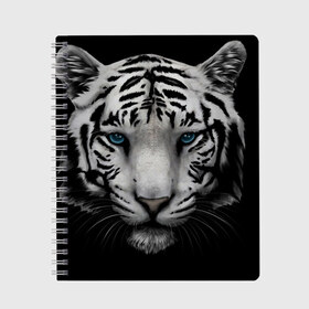 Тетрадь с принтом Белый Тигр в Санкт-Петербурге, 100% бумага | 48 листов, плотность листов — 60 г/м2, плотность картонной обложки — 250 г/м2. Листы скреплены сбоку удобной пружинной спиралью. Уголки страниц и обложки скругленные. Цвет линий — светло-серый
 | tiger | животное | тигр | тигрица | чернобелый