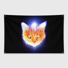 Флаг-баннер с принтом Сеяющий кот в Санкт-Петербурге, 100% полиэстер | размер 67 х 109 см, плотность ткани — 95 г/м2; по краям флага есть четыре люверса для крепления | звёзды | кот | сеяние | чёрный фон