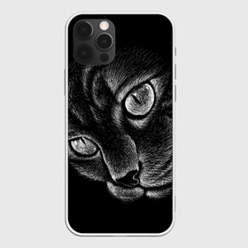 Чехол для iPhone 12 Pro Max с принтом Волшебный кот в Санкт-Петербурге, Силикон |  | Тематика изображения на принте: black | cat | eyes | kitten | kitty | pussy | pussycat | взгляд | глаз | глаза | кот | кота | котенок | коты | котят | котята | котячьи | кошачьи | кошка | кошки | мордочка | нос | носик | с котом | усатый | усики | усища | усищи | че