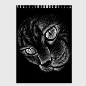 Скетчбук с принтом Волшебный кот в Санкт-Петербурге, 100% бумага
 | 48 листов, плотность листов — 100 г/м2, плотность картонной обложки — 250 г/м2. Листы скреплены сверху удобной пружинной спиралью | Тематика изображения на принте: black | cat | eyes | kitten | kitty | pussy | pussycat | взгляд | глаз | глаза | кот | кота | котенок | коты | котят | котята | котячьи | кошачьи | кошка | кошки | мордочка | нос | носик | с котом | усатый | усики | усища | усищи | че