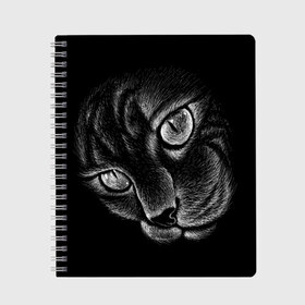 Тетрадь с принтом Волшебный кот в Санкт-Петербурге, 100% бумага | 48 листов, плотность листов — 60 г/м2, плотность картонной обложки — 250 г/м2. Листы скреплены сбоку удобной пружинной спиралью. Уголки страниц и обложки скругленные. Цвет линий — светло-серый
 | Тематика изображения на принте: black | cat | eyes | kitten | kitty | pussy | pussycat | взгляд | глаз | глаза | кот | кота | котенок | коты | котят | котята | котячьи | кошачьи | кошка | кошки | мордочка | нос | носик | с котом | усатый | усики | усища | усищи | че
