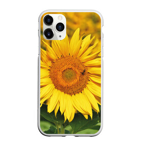 Чехол для iPhone 11 Pro Max матовый с принтом Подсолнух в Санкт-Петербурге, Силикон |  | подсолнух | подсолнухи | природа | растение | растения | флора | фотография | цвет | цветами | цветов | цветок | цветочек | цветочки | цветочные | цветочный | цветы