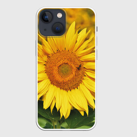 Чехол для iPhone 13 mini с принтом Подсолнух в Санкт-Петербурге,  |  | подсолнух | подсолнухи | природа | растение | растения | флора | фотография | цвет | цветами | цветов | цветок | цветочек | цветочки | цветочные | цветочный | цветы