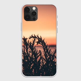 Чехол для iPhone 12 Pro Max с принтом Трава растение закат силуэт в Санкт-Петербурге, Силикон |  | Тематика изображения на принте: закат | кусты | лето | на каждый день | природа | рассвет | растение | свет | силуэт