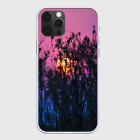 Чехол для iPhone 12 Pro Max с принтом Трава растения закатный свет в Санкт-Петербурге, Силикон |  | вечер | закат | мило | небо | поле | рассвет | растения | свет | сумерки | сухоцвет