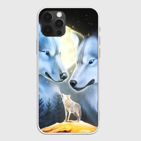 Чехол для iPhone 12 Pro Max с принтом ВОЛК В НОЧИ(D) в Санкт-Петербурге, Силикон |  | wolf | волк | волки | волчица | животные | одинокий волк