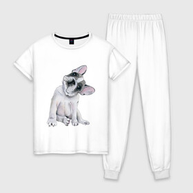 Женская пижама хлопок с принтом бульдог в Санкт-Петербурге, 100% хлопок | брюки и футболка прямого кроя, без карманов, на брюках мягкая резинка на поясе и по низу штанин | бульдог | животные | песокафе | рисунок | собаки