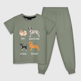Детская пижама хлопок с принтом шпиц ретривер белый в Санкт-Петербурге, 100% хлопок |  брюки и футболка прямого кроя, без карманов, на брюках мягкая резинка на поясе и по низу штанин
 | Тематика изображения на принте: далматинец | песокафе | ретривер | собаки | чихуахуа | шпиц