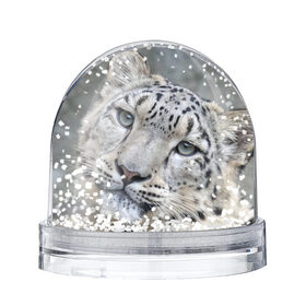 Снежный шар с принтом Ирбис в Санкт-Петербурге, Пластик | Изображение внутри шара печатается на глянцевой фотобумаге с двух сторон | snow leopard | барс | барсы | животное | животные | звери | зверь | зима | зимы | ирбис | киски | кот | коты | кошачьи | кошка | кошки | мохнатые | мохнатый | пятнистые | пятнистый | снег | снежный