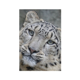 Обложка для паспорта матовая кожа с принтом Ирбис в Санкт-Петербурге, натуральная матовая кожа | размер 19,3 х 13,7 см; прозрачные пластиковые крепления | Тематика изображения на принте: snow leopard | барс | барсы | животное | животные | звери | зверь | зима | зимы | ирбис | киски | кот | коты | кошачьи | кошка | кошки | мохнатые | мохнатый | пятнистые | пятнистый | снег | снежный