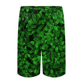 Детские спортивные шорты 3D с принтом Свежая трава в Санкт-Петербурге,  100% полиэстер
 | пояс оформлен широкой мягкой резинкой, ткань тянется
 | арт | зелёный | светлый | тёмный | четкий