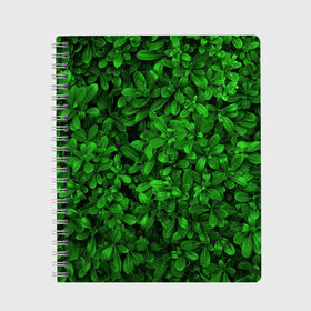 Тетрадь с принтом Свежая трава в Санкт-Петербурге, 100% бумага | 48 листов, плотность листов — 60 г/м2, плотность картонной обложки — 250 г/м2. Листы скреплены сбоку удобной пружинной спиралью. Уголки страниц и обложки скругленные. Цвет линий — светло-серый
 | арт | зелёный | светлый | тёмный | четкий