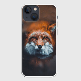 Чехол для iPhone 13 mini с принтом Лиса в Санкт-Петербурге,  |  | Тематика изображения на принте: волк | енот | енотик | зверь | зоопарк | колобок | лес | лис | лиса | лисёнок | лисица | лисы | мультик | пёс | писец | сибирь | сказка | собака | тайга