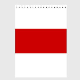 Скетчбук с принтом Первый флаг Беларуси в Санкт-Петербурге, 100% бумага
 | 48 листов, плотность листов — 100 г/м2, плотность картонной обложки — 250 г/м2. Листы скреплены сверху удобной пружинной спиралью | беларусь | бело красно белый | бело красный флаг беларуси | первый флаг беларуси | старый флаг белоруссии | флаг беларуси