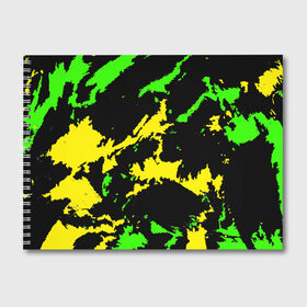 Альбом для рисования с принтом Желто-зеленый в Санкт-Петербурге, 100% бумага
 | матовая бумага, плотность 200 мг. | Тематика изображения на принте: casual | neon | pattern | абстрактный | брызги | граффити | грязь | зелень | камуфляж | кислотный | краска | красочный | мазки | маскировка | милитари | неоновый | отпечаток | пятна | пятнистый | разноцветный