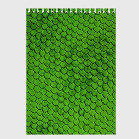 Скетчбук с принтом зелёная чешуя в Санкт-Петербурге, 100% бумага
 | 48 листов, плотность листов — 100 г/м2, плотность картонной обложки — 250 г/м2. Листы скреплены сверху удобной пружинной спиралью | чешуя | чешуя ящерицы