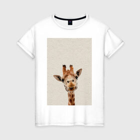 Женская футболка хлопок с принтом жираф в Санкт-Петербурге, 100% хлопок | прямой крой, круглый вырез горловины, длина до линии бедер, слегка спущенное плечо | giraffe | zoo | африканский жираф | жираф | жираф из зоопарка | жирафик | зоопарк