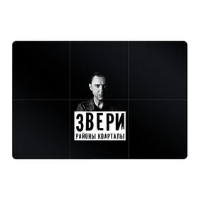 Магнитный плакат 3Х2 с принтом Звери в Санкт-Петербурге, Полимерный материал с магнитным слоем | 6 деталей размером 9*9 см | группа | звери | музыка | районы кварталы | рома зверь | я ухожу красиво