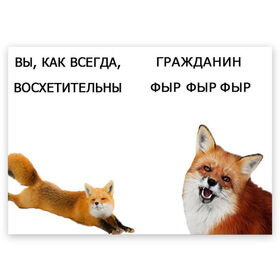 Поздравительная открытка с принтом гражданин фыр фыр в Санкт-Петербурге, 100% бумага | плотность бумаги 280 г/м2, матовая, на обратной стороне линовка и место для марки
 | Тематика изображения на принте: 