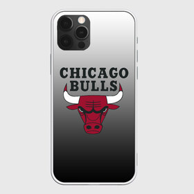 Чехол для iPhone 12 Pro Max с принтом JORDAN CHICAGO BULLS в Санкт-Петербурге, Силикон |  | basketball | jordan | michael | michael jordan | баскетбол | джордан | майкл | стиль