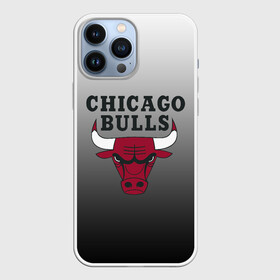 Чехол для iPhone 13 Pro Max с принтом JORDAN   CHICAGO BULLS в Санкт-Петербурге,  |  | Тематика изображения на принте: basketball | jordan | michael | michael jordan | баскетбол | джордан | майкл | стиль