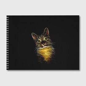 Альбом для рисования с принтом Дымчато-световой кот в Санкт-Петербурге, 100% бумага
 | матовая бумага, плотность 200 мг. | Тематика изображения на принте: арт | дым | желтый | кот | кошка | кривые | рисунок | свет | серый | тёмный | чёрный | яркие линии