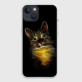 Чехол для iPhone 13 с принтом Дымчато световой кот в Санкт-Петербурге,  |  | арт | дым | желтый | кот | кошка | кривые | рисунок | свет | серый | тёмный | чёрный | яркие линии