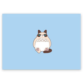 Поздравительная открытка с принтом Тоторный кот в Санкт-Петербурге, 100% бумага | плотность бумаги 280 г/м2, матовая, на обратной стороне линовка и место для марки
 | grumpy cat | белый | кот тоторо | кот. недовольный кот | крем | мило | милота | мимишка | тоторо