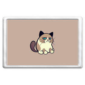 Магнит 45*70 с принтом Великий Grumpy Cat в Санкт-Петербурге, Пластик | Размер: 78*52 мм; Размер печати: 70*45 | grumpy cat | арт | кот | кот grumpy cat | котёнок | кошка | недовольный кот | рисунок